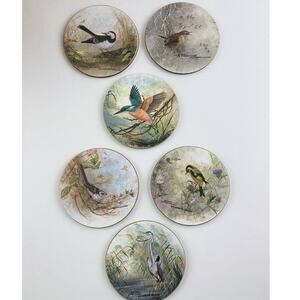Christopher Scales Bird Paints Set Of 6 Backed Coasters Melamine Wren British